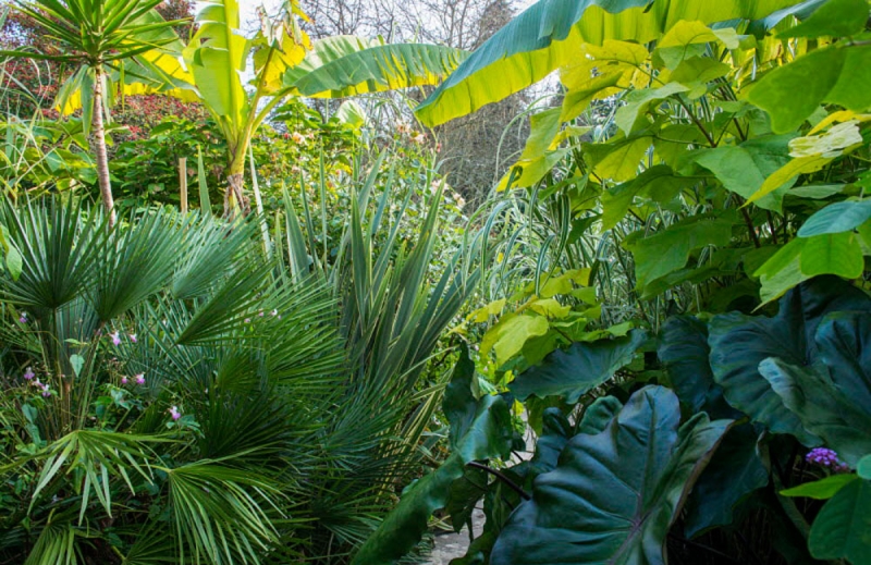 Great Dixter House, Gardens & Nurseries